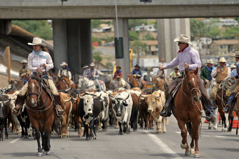 Reno Rodeo Cattle Drive
