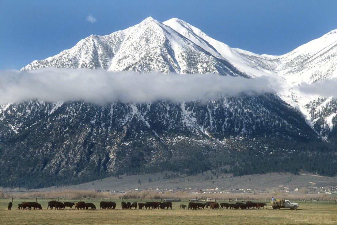 Nevada Mountain Landscape